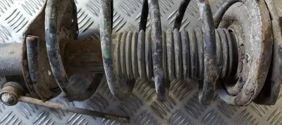 Peugeot 206 Front coil spring
