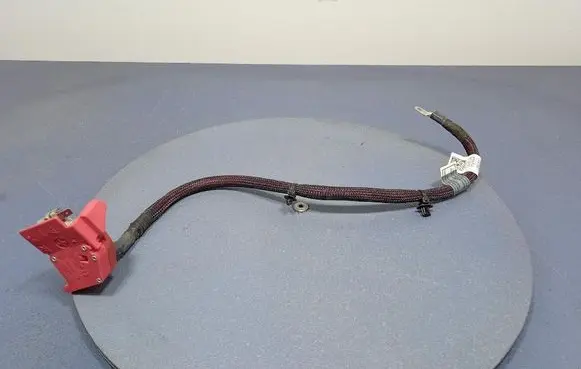 BMW X5 E53 Other wiring loom 8795485