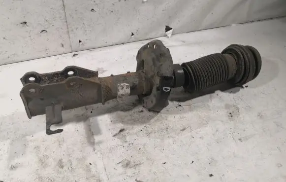 Opel Insignia A Front shock absorber/damper 13245967