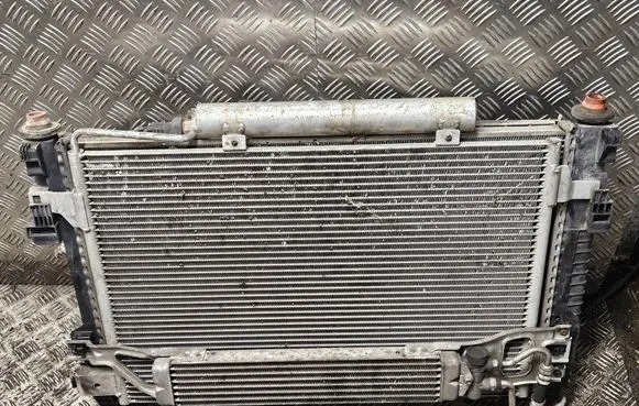 Mercedes-Benz A W169 Radiator set A1695000003 Q02H3934