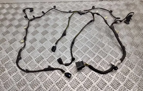 Ford Focus Other wiring loom JX6T14B446 A00000000 13668498