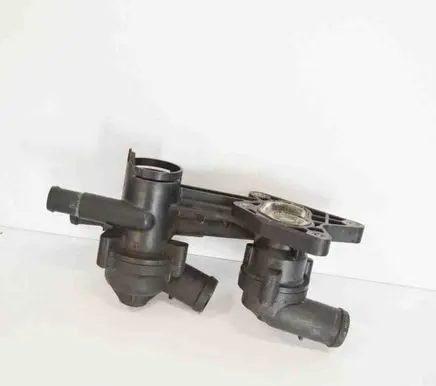 Volkswagen PASSAT B6 Thermostat 