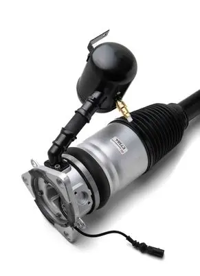 Audi A8 S8 D3 4E Shock absorber/damper/air suspension 4E0616002P 4E0616002G AS2965