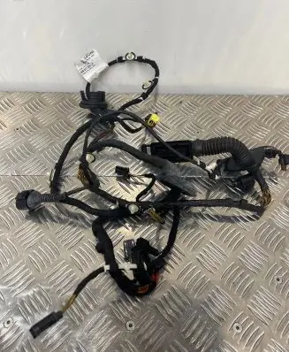 Audi A7 S7 4G Front door wiring loom 4G8971029CF TAB010403AG