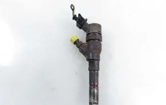 Peugeot Boxer Fuel injector 0445110076