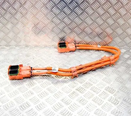 BMW i3 Other wiring loom 764007702B 7619781