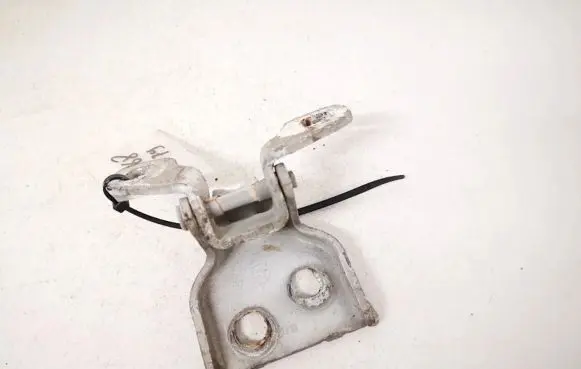 Dacia Sandero Rear door lower hinge