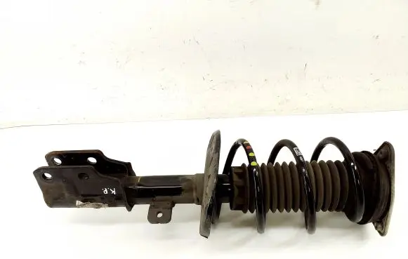 Opel Grandland X Front shock absorber/damper 9819718680