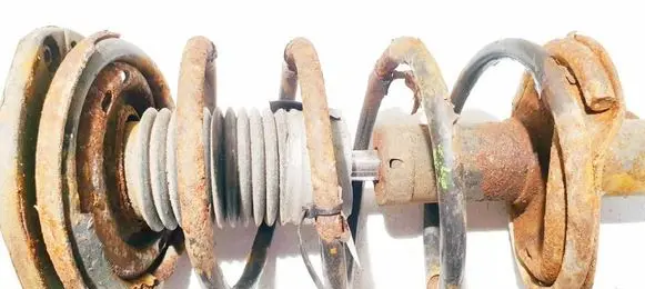 Front coil spring