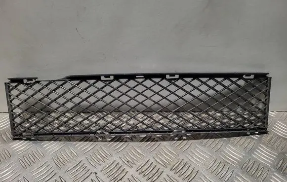 BMW 7 E65 E66 Front bumper lower grill 51117135573