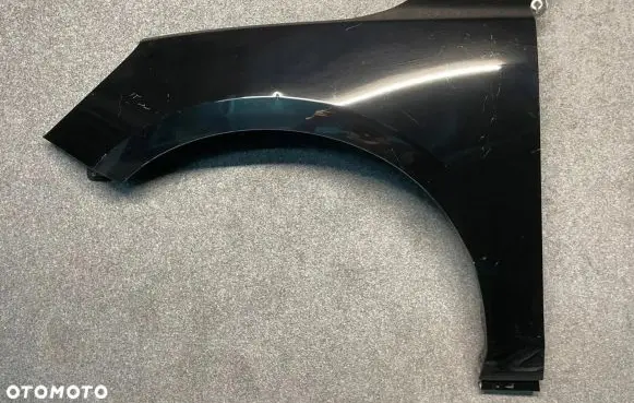 Ford Focus Fender