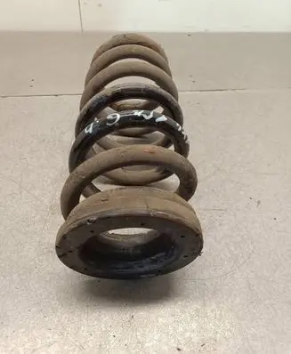 Rear coil spring