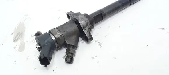 Citroen C5 Fuel injector 0445110259