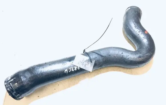 Peugeot 406 Intercooler hose/pipe