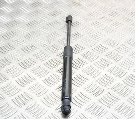 Tesla Model 3 Tailgate/trunk strut/damper 109156000B