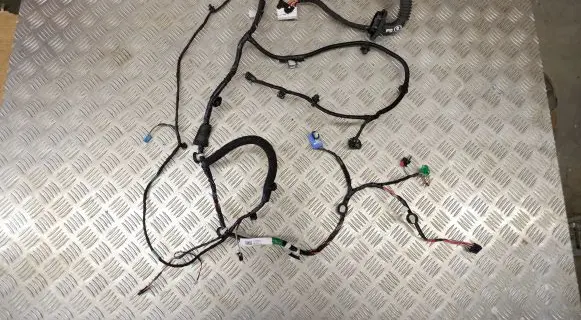 Tesla Model 3 Front door wiring loom 306796302C