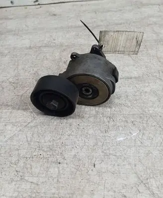 Fiat Bravo Generator/alternator belt tensioner 55190813