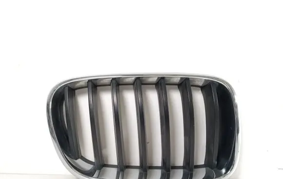BMW X3 F25 Front grill 7210726
