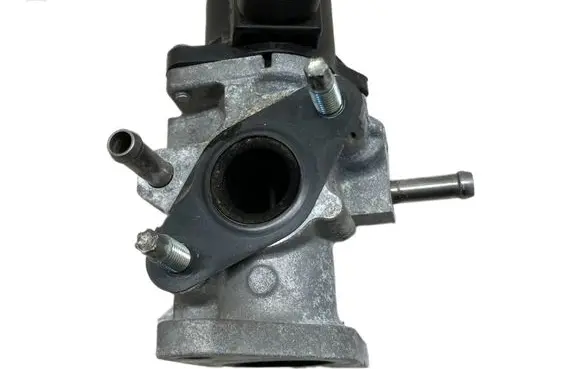 EGR valve