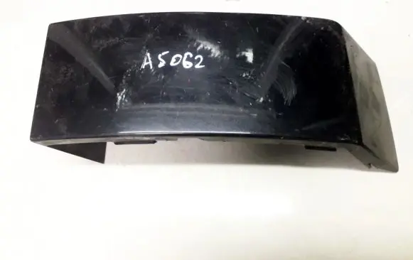 Rear/tail light trim molding