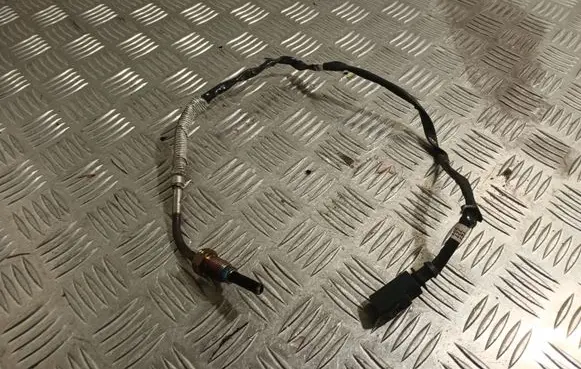 Exhaust gas temperature sensor