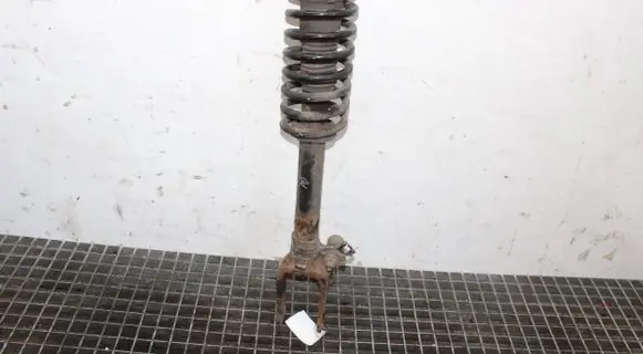 Mercedes-Benz R W251 Front shock absorber/damper