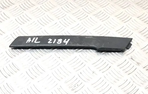 Other rear door trim element