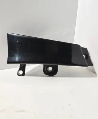 Rear/tail light trim molding