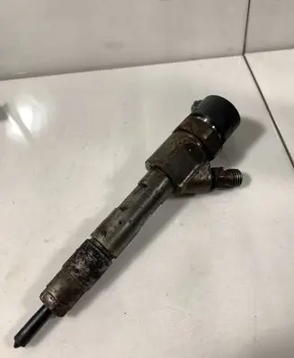 Renault Laguna II Fuel injector 0445110021