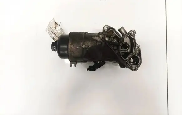 Citroen C5 Engine oil radiator 
