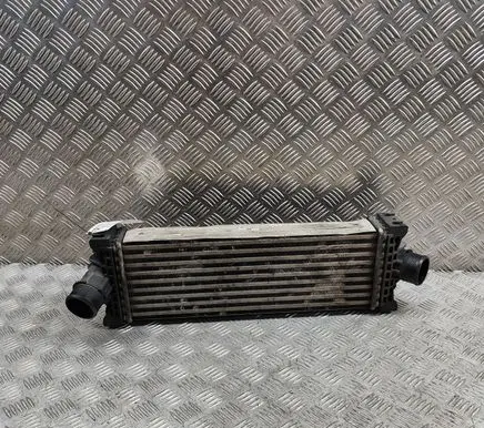 Ford Transit - Tourneo Connect Intercooler radiator GK216K775AE