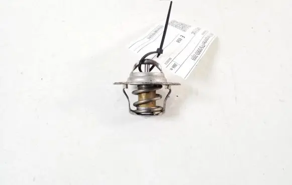 Volkswagen Transporter - Caravelle T5 Thermostat 050121113C