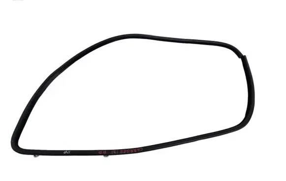 Dodge Charger Front door rubber seal AL25592XTP006JJJJ4
