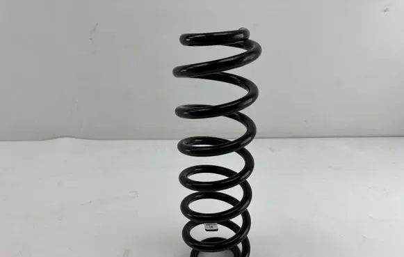 Rear coil spring