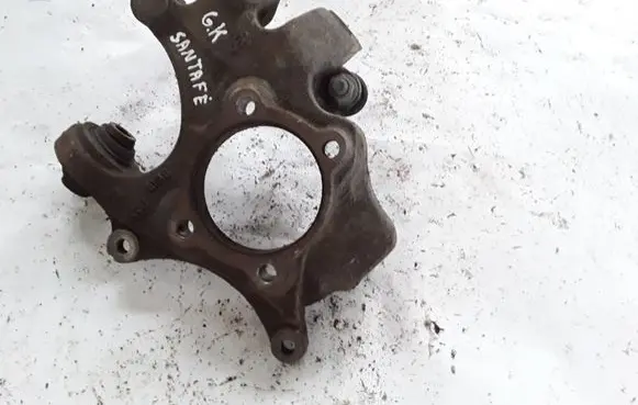 Hyundai Santa Fe Rear wheel hub spindle/knuckle NOCODE