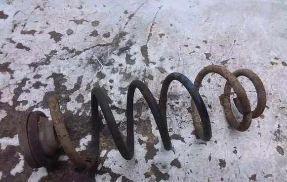 Volkswagen New Beetle Rear coil spring 