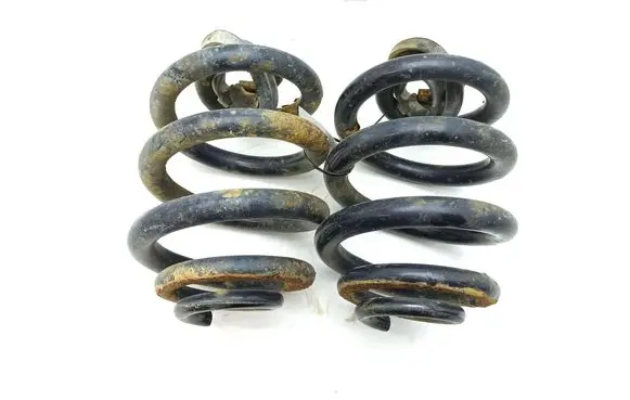 Rear coil spring