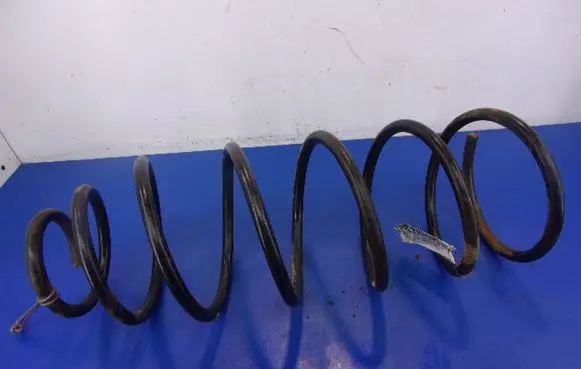 Buick Century Front coil spring