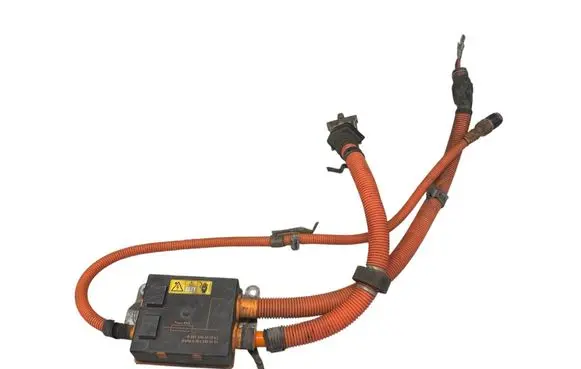 Other wiring loom