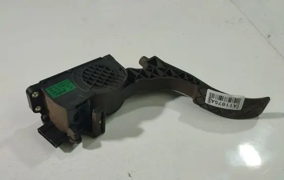 Skoda Roomster (5J) Accelerator throttle pedal 0280755063