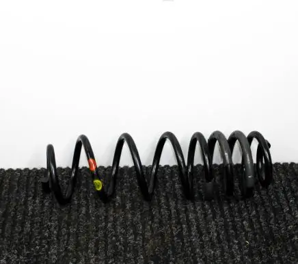Ford Ecosport Rear coil spring