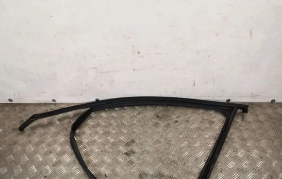 Hyundai Santa Fe Rubber seal front door (on door) FQL5
