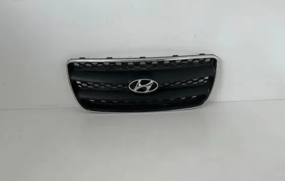 Hyundai Santa Fe Front grill E865612B010