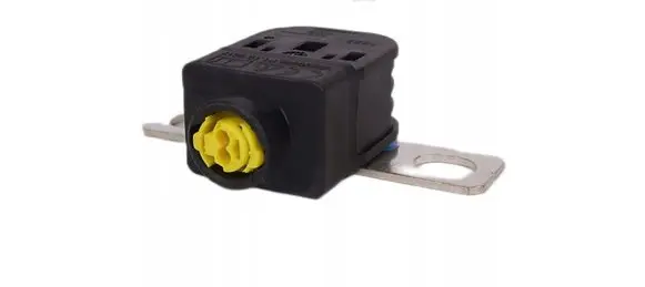 Renault Clio V Fuse N000000008657