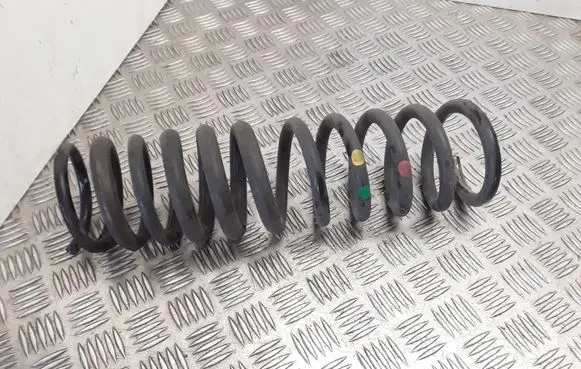 Ford Focus Rear coil spring