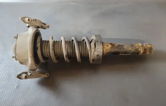Rear shock absorber/damper