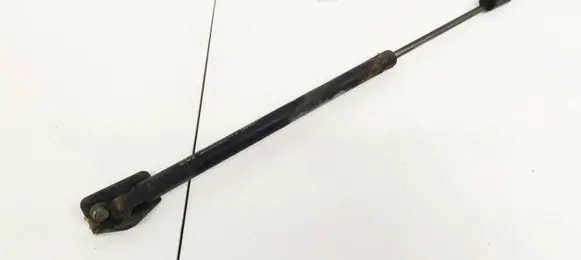 Tailgate/trunk strut/damper