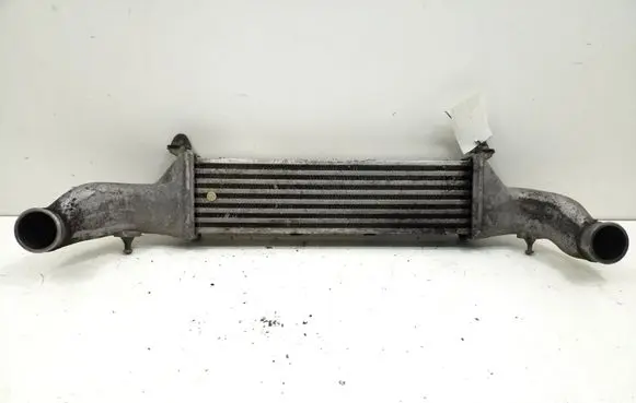 Mercedes-Benz C W202 Intercooler radiator A2025000900