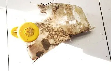 Opel Zafira A Windshield washer fluid reservoir/tank 