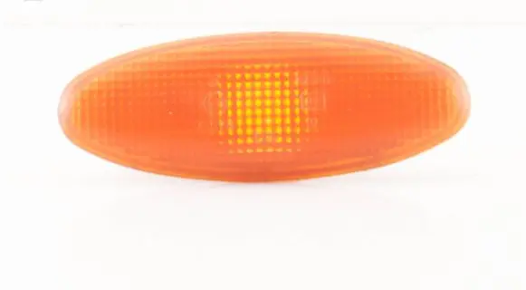 Front fender indicator light